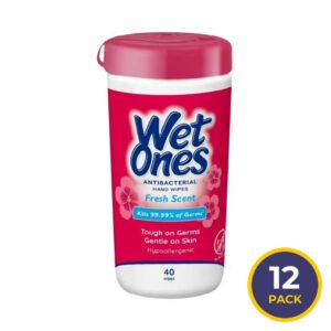Wet Ones - Hand Wipes Fresh Scent  40 ct ea - 12 pack
