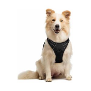 Rabbitgoo - Dog Harness No Pull with 2 Leash Clips, Adjustable Soft Padded