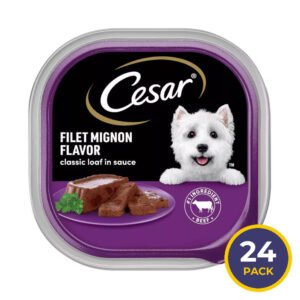 Cesar Classic Wet Dog Food Filet Mignon Flavor – 3.5 oz – 24 Pack