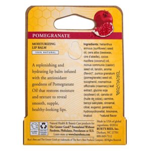 Burt’s Bees Pomegranate Oil Moisturizing Lip Balm - 0.15 oz - 72 Pack