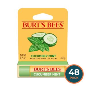 Burt’s Bees Cucumber Mint Moisturizing Lip Balm with Beeswax - 0.15 oz - 48 Pack